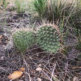 Review photo of Guernsey State Park Campground by Erin W., May 29, 2021