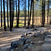 Review photo of Plumas National Forest Spring Creek Campground by Lori T., May 29, 2021