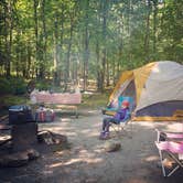 Review photo of Manor - Cunningham Falls State Park by Erin W., May 29, 2021
