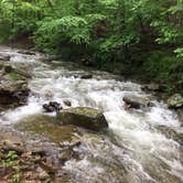 Review photo of Manor - Cunningham Falls State Park by Erin W., May 29, 2021