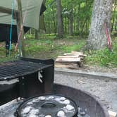 Review photo of Greenbrier State Park Campground - TEMPORARILY CLOSED by Erin W., March 29, 2021