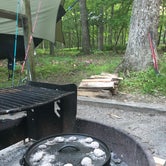 Review photo of Greenbrier State Park Campground by Erin W., March 29, 2021