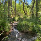 Review photo of Dead Horse Ranch State Park Campground by Melissa S., May 29, 2021