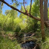 Review photo of Dead Horse Ranch State Park Campground by Melissa S., May 29, 2021