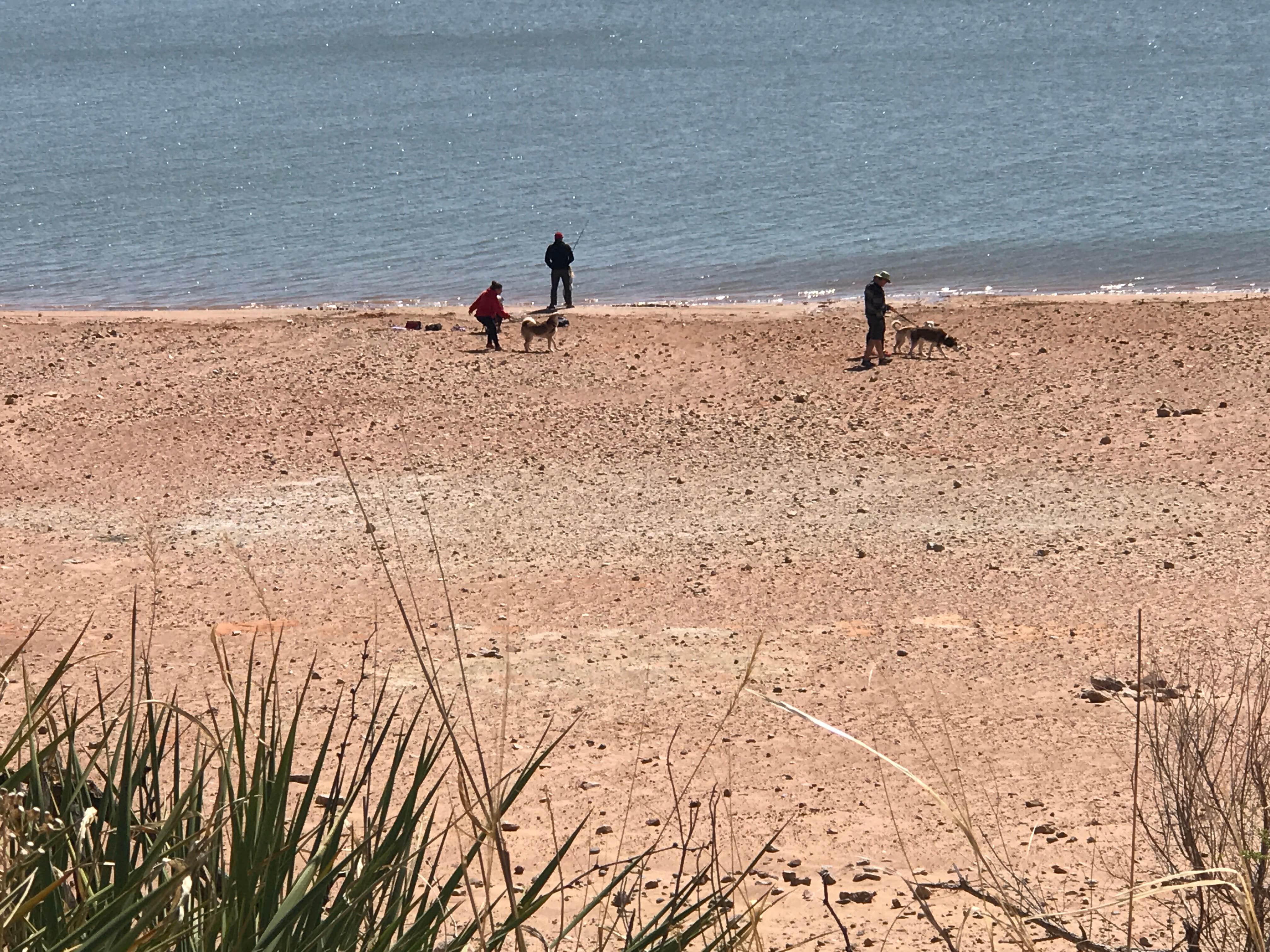 Crystal C.'s photo of camping with pets at Quartz Mountain State Park near Elk City, OK