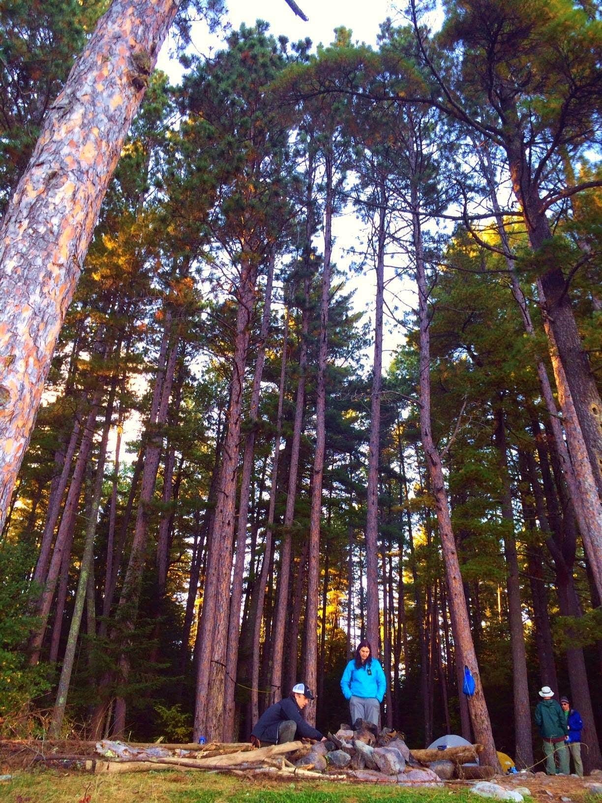 Camper submitted image from Superior National Forest Fall Lake Campground - 2
