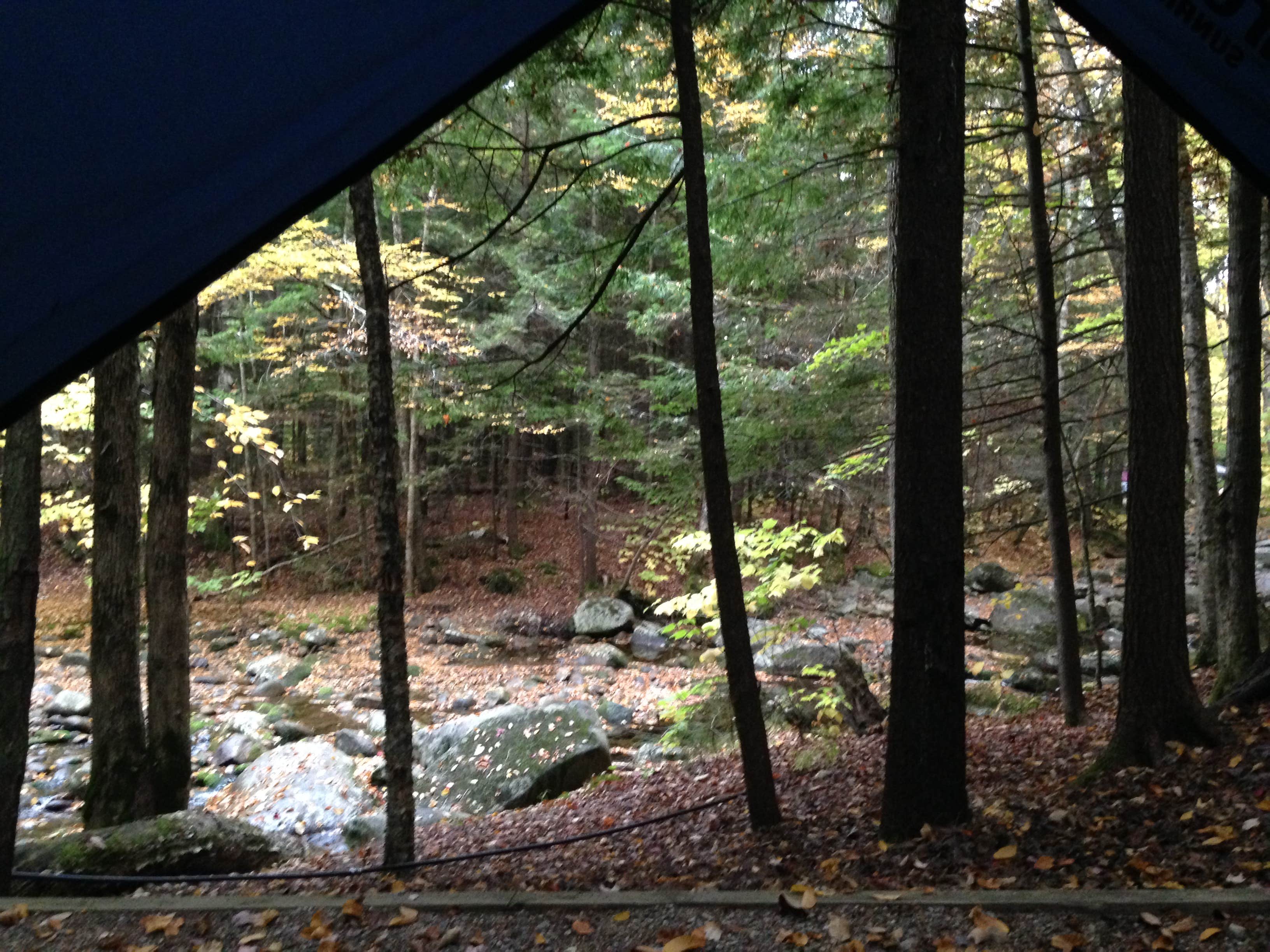 Camper submitted image from Lost River Valley Campground - 2