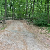 Review photo of French Creek State Park Campground by Stefan K., May 30, 2021