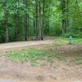 Review photo of French Creek State Park Campground by Stefan K., May 30, 2021