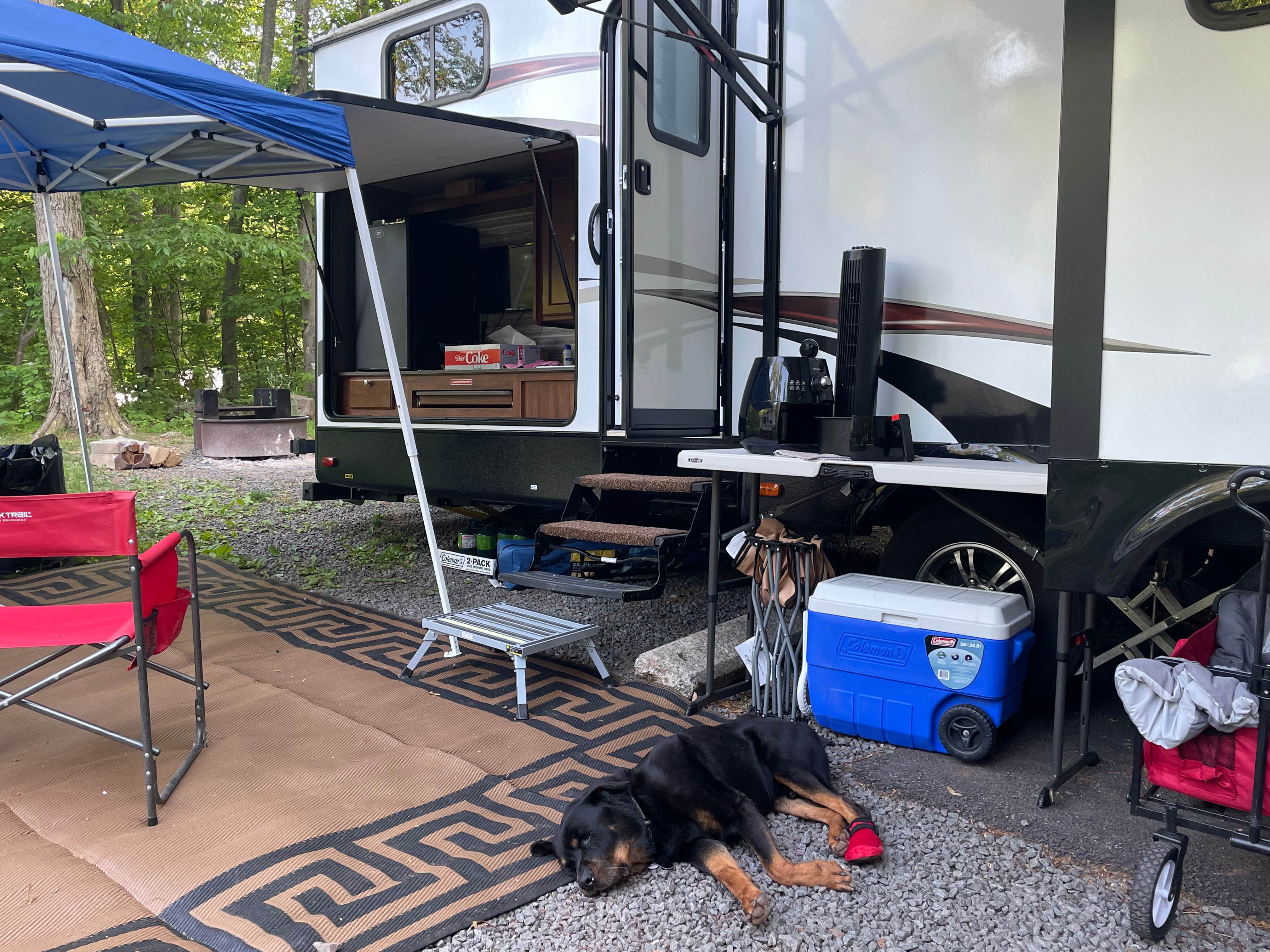 Stefan K.'s photo of camping with pets at French Creek State Park Campground near Birdsboro, PA