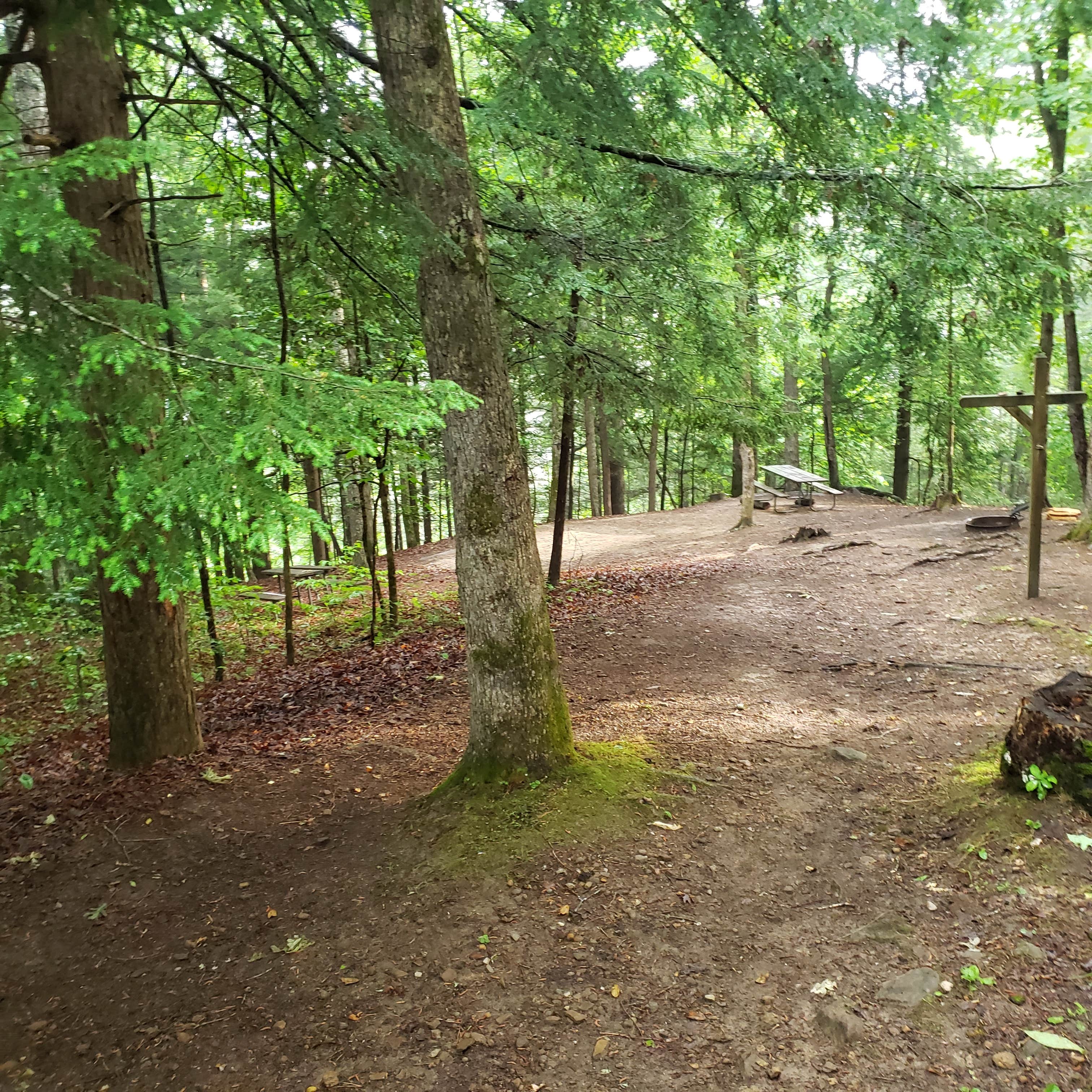 Camper submitted image from Clifty Campground 48 50 — Cumberland Falls State Resort Park - 2