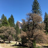 Review photo of Camp 4 — Yosemite National Park by Michael B., June 5, 2018