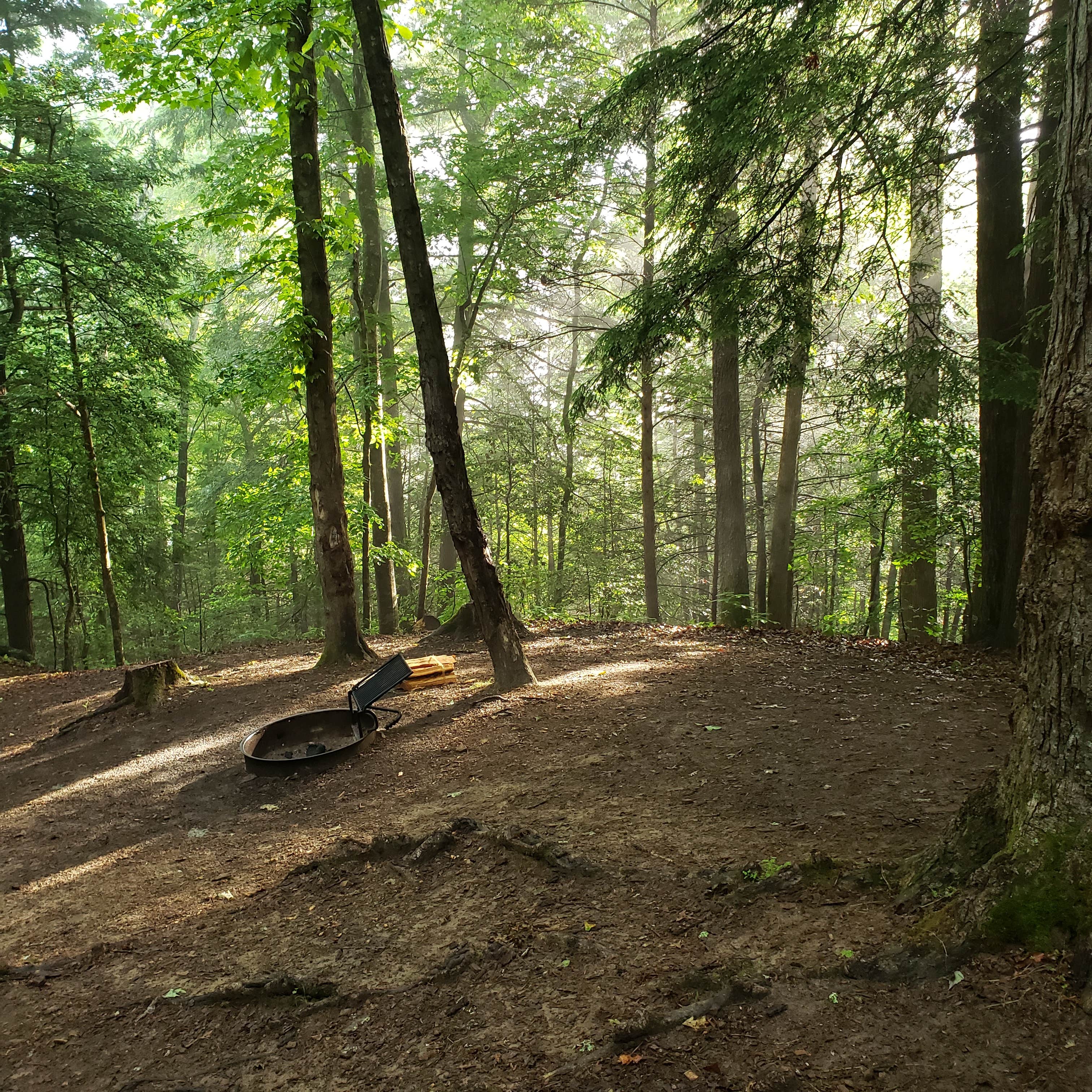 Camper submitted image from Clifty Campground — Cumberland Falls State Resort Park - 4