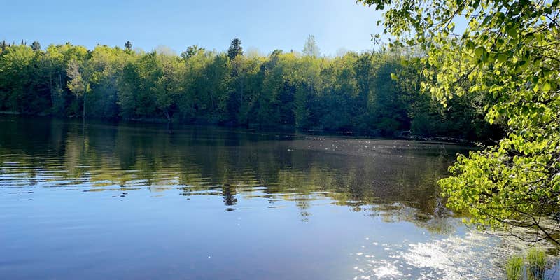 Camper submitted image from Bear Lake