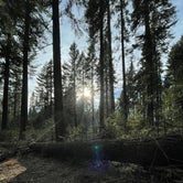 Review photo of Yosemite “Boondock National” Dispersed Camping by Deb F., May 30, 2021