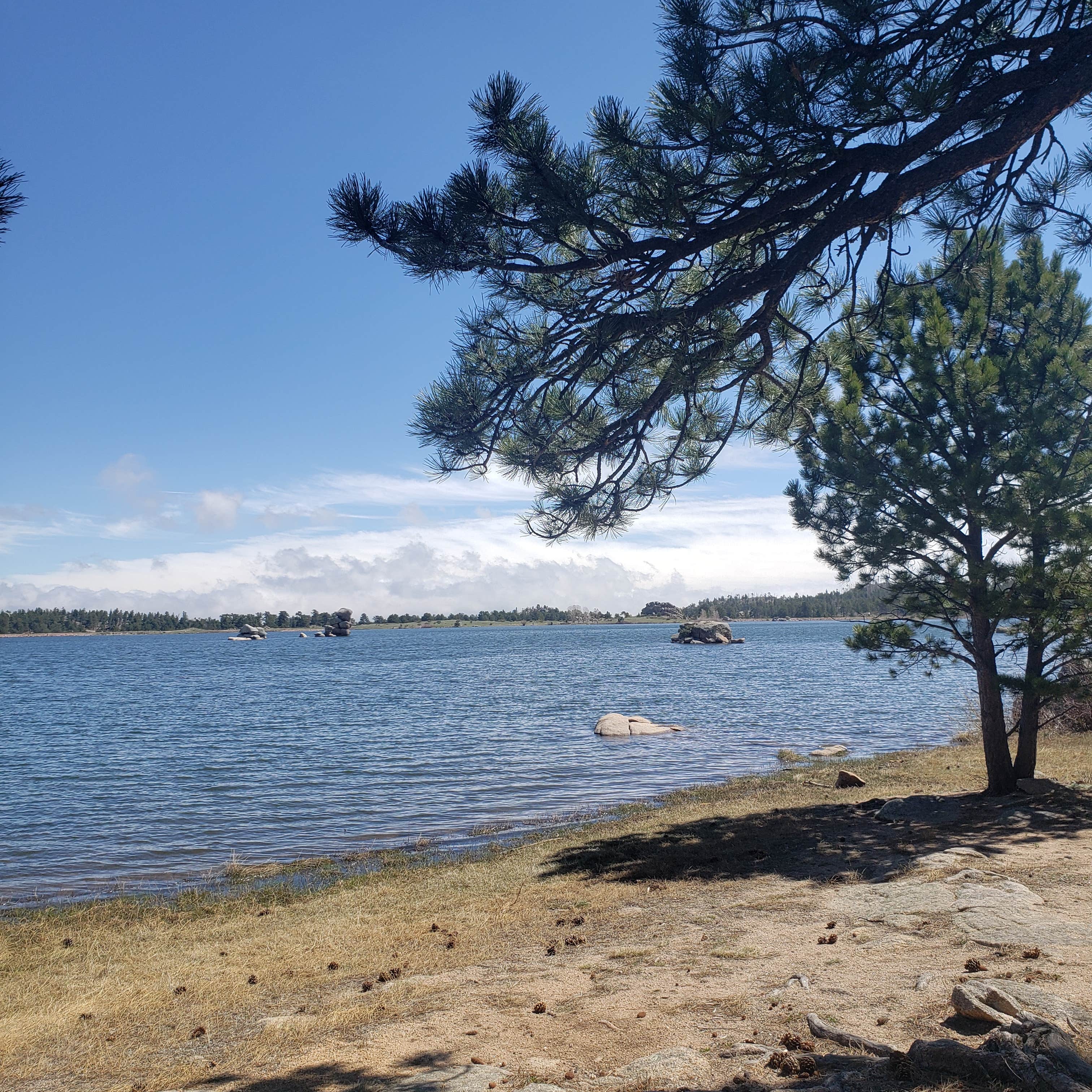 Escape to Serenity: Your Guide to Colorado's Dowdy Lake Campground