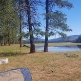 Review photo of Kettle River Campground — Lake Roosevelt National Recreation Area by Milissa H., May 30, 2021