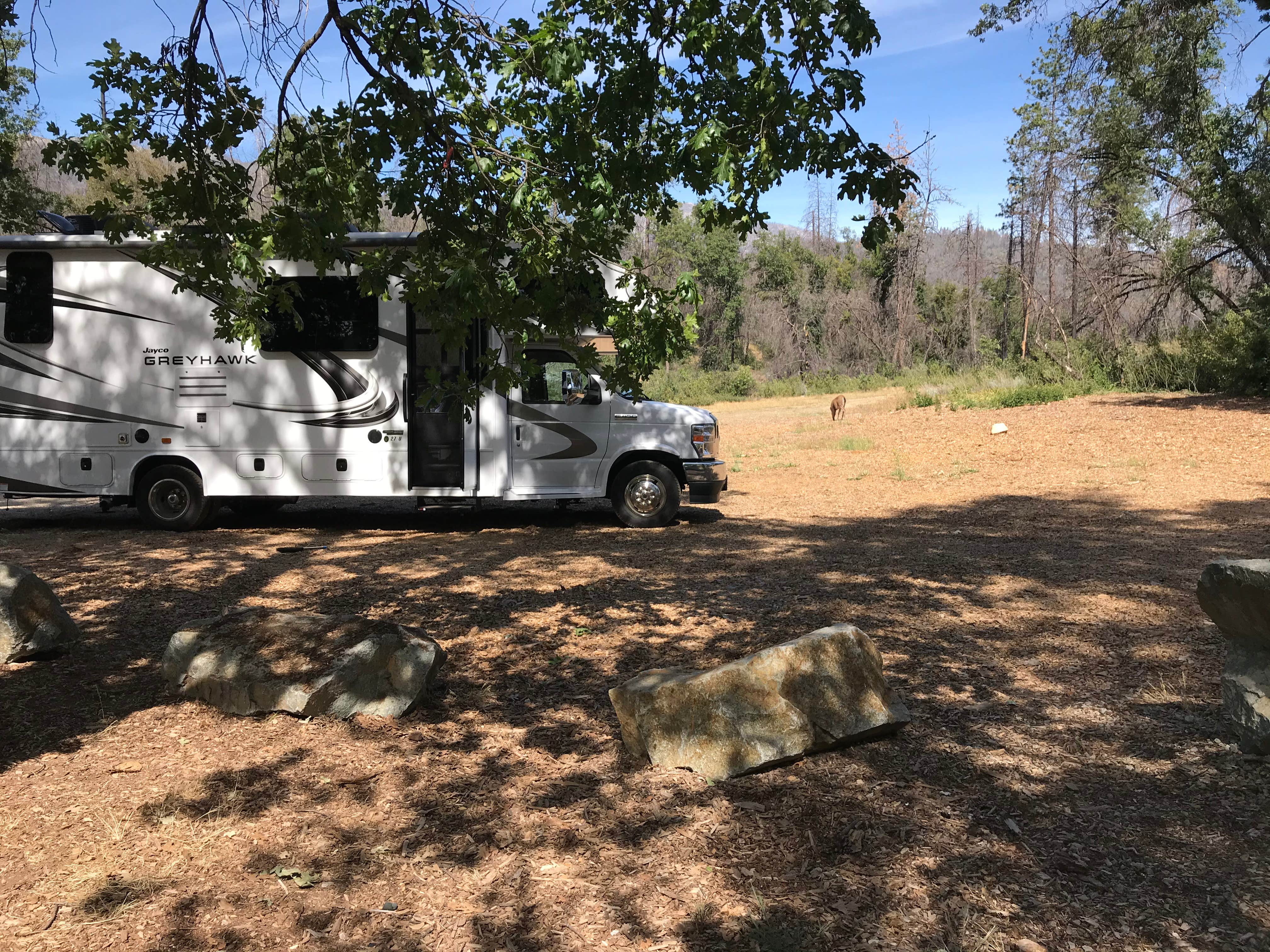 Camper submitted image from Horse Camp Primitive Campground — Whiskeytown-Shasta-Trinity National Recreation Area - 2