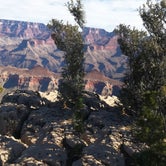 Review photo of Mather Campground — Grand Canyon National Park by Brittney  C., May 30, 2021