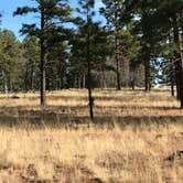 Review photo of Mather Campground — Grand Canyon National Park by Brittney  C., May 30, 2021