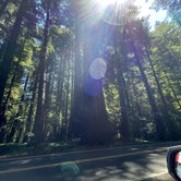 Review photo of Hidden Springs Campground — Humboldt Redwoods State Park by Jose M., May 30, 2021