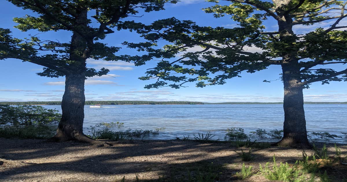 Big Fir Primitive Camping