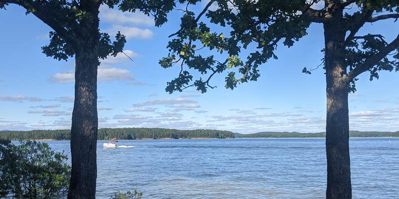 Camper submitted image from Big Fir Primitive Camping