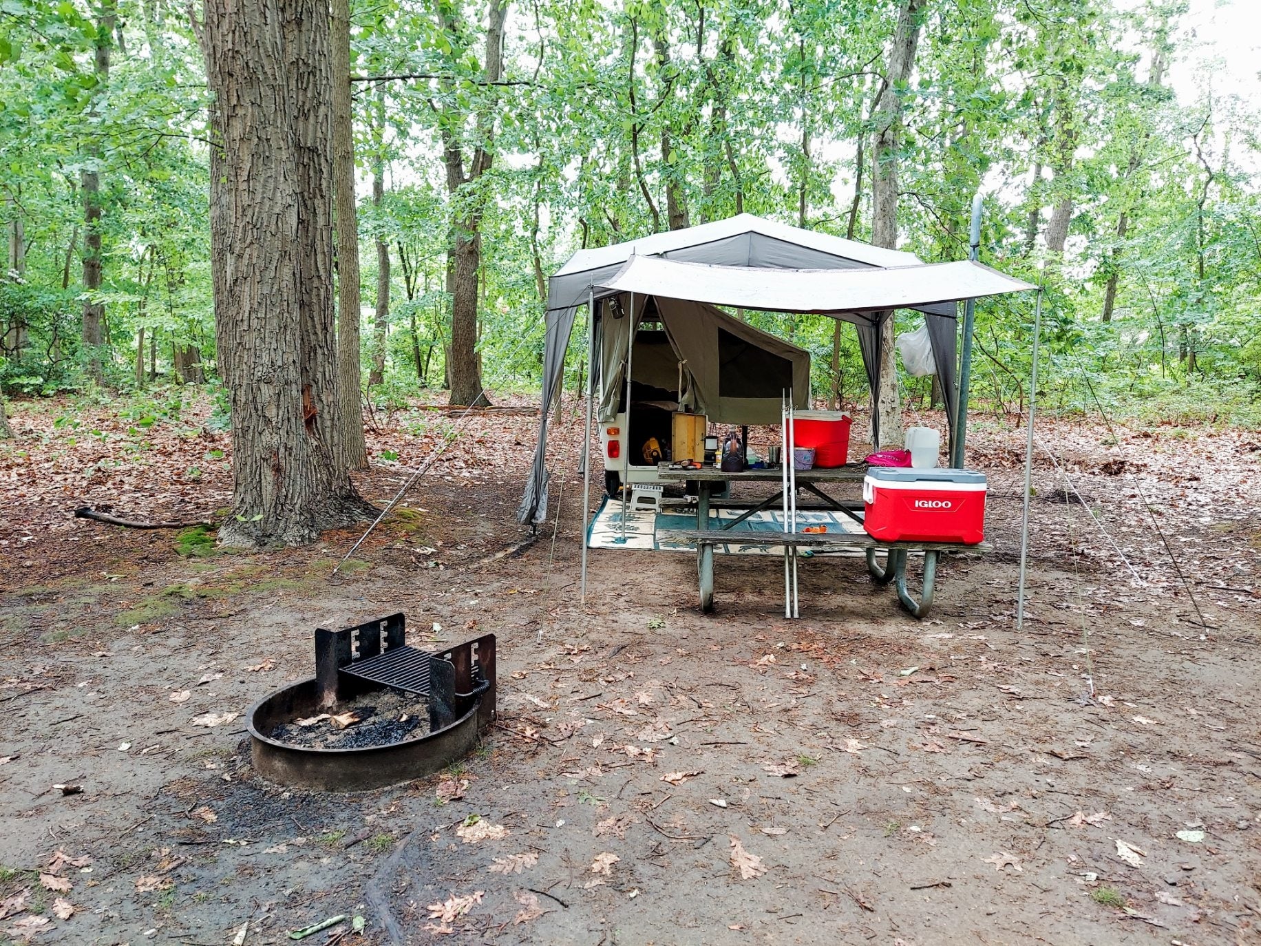Camper submitted image from Cheesequake State Park Campground - 5