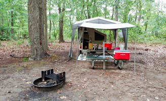 Dan W.'s photo at Cheesequake State Park Campground near Long Beach, NY