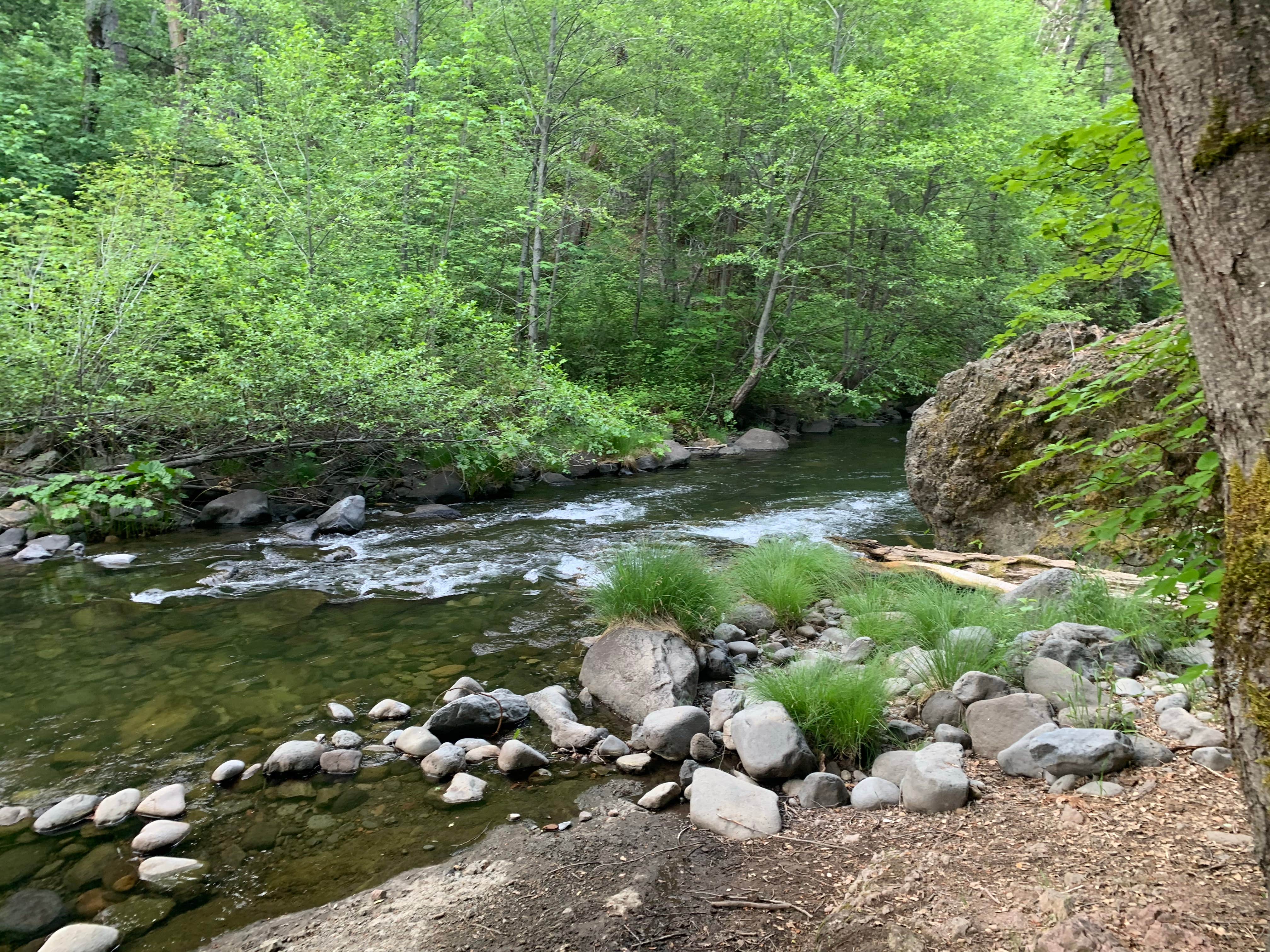 Escape To Bliss: Uncovering The Magic Of Potato Patch Campground, Northern California