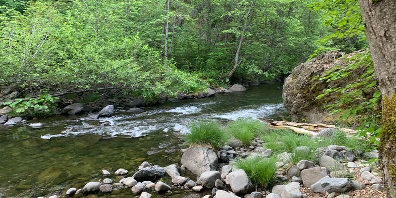 Camper submitted image from Potato Patch Campground