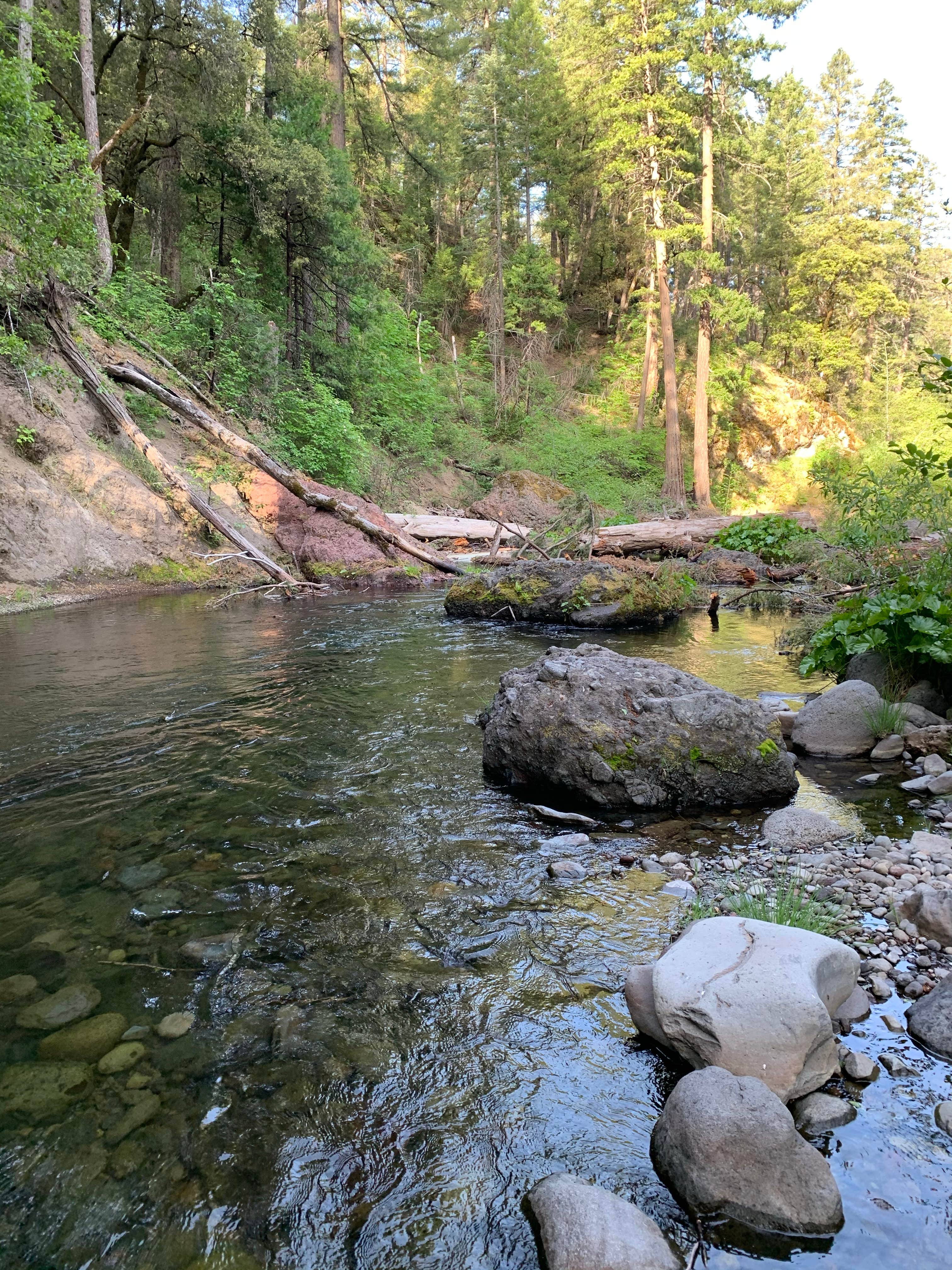 Camper-submitted photo at Potato Patch Campground near Magalia, CA