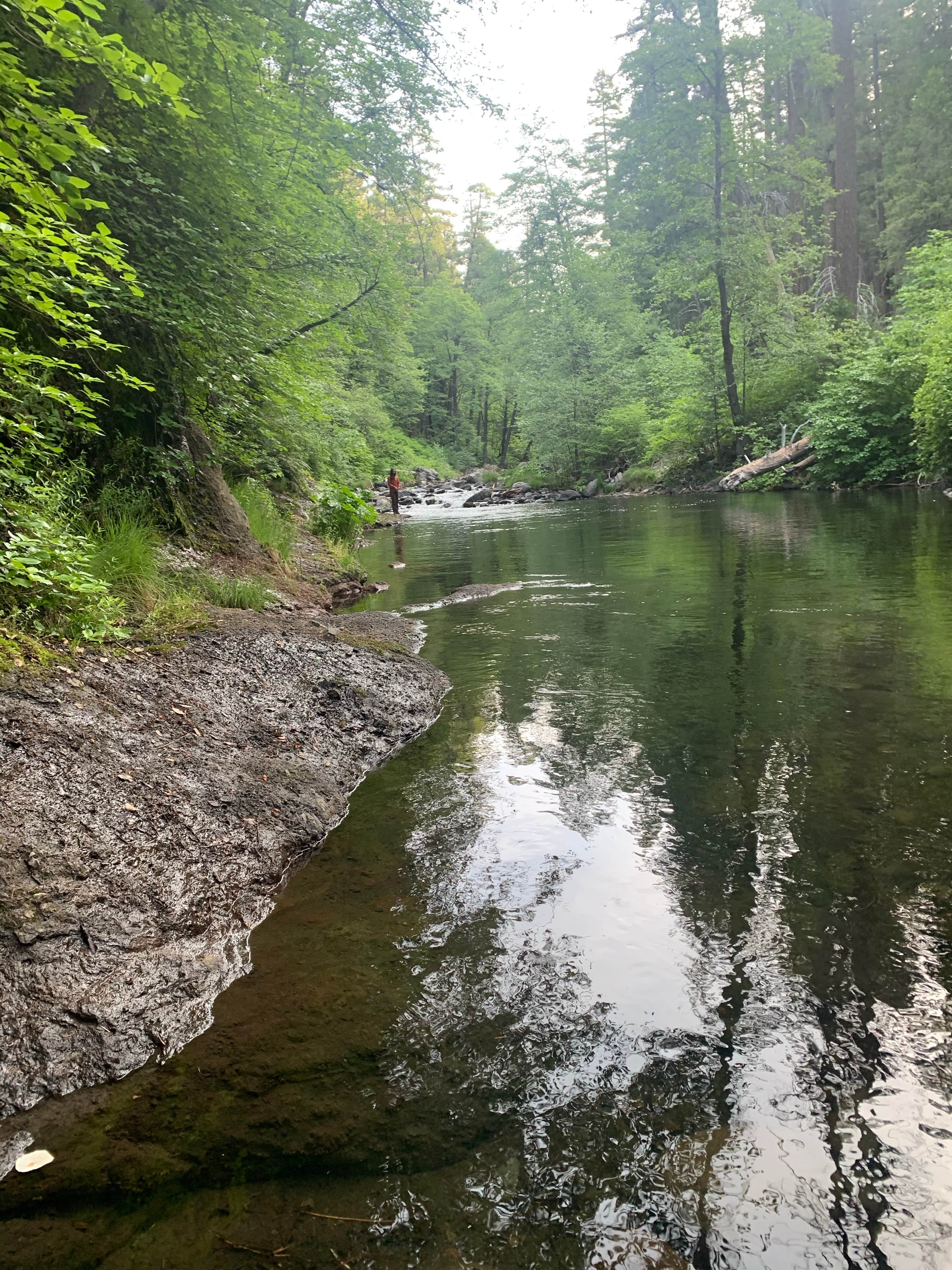 Camper-submitted photo at Potato Patch Campground near Magalia, CA
