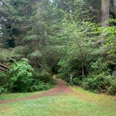 Review photo of Tahkenitch Campground by kathy , May 30, 2021