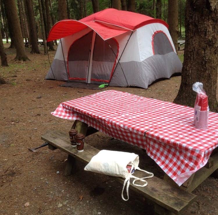 Lou R.'s photo at Copake Falls Area — Taconic State Park near Mill River, MA