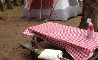 Lou R.'s photo at Copake Falls Area — Taconic State Park near Mill River, MA