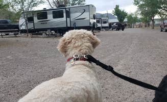 Isik A.'s photo of camping with pets at Mystic Hot Springs near Cove, UT
