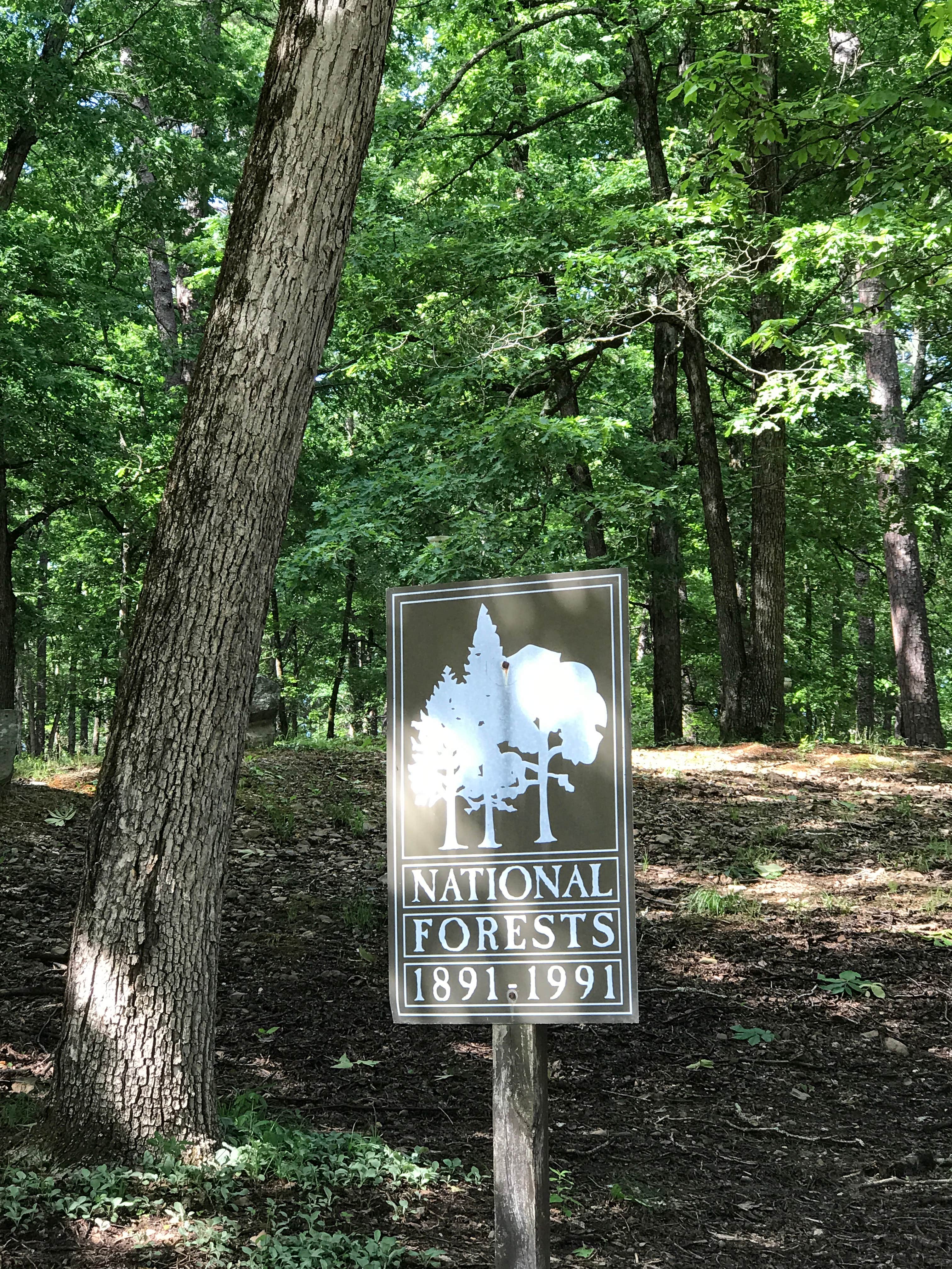 Best dispersed camping in Ouachita National Forest The Dyrt