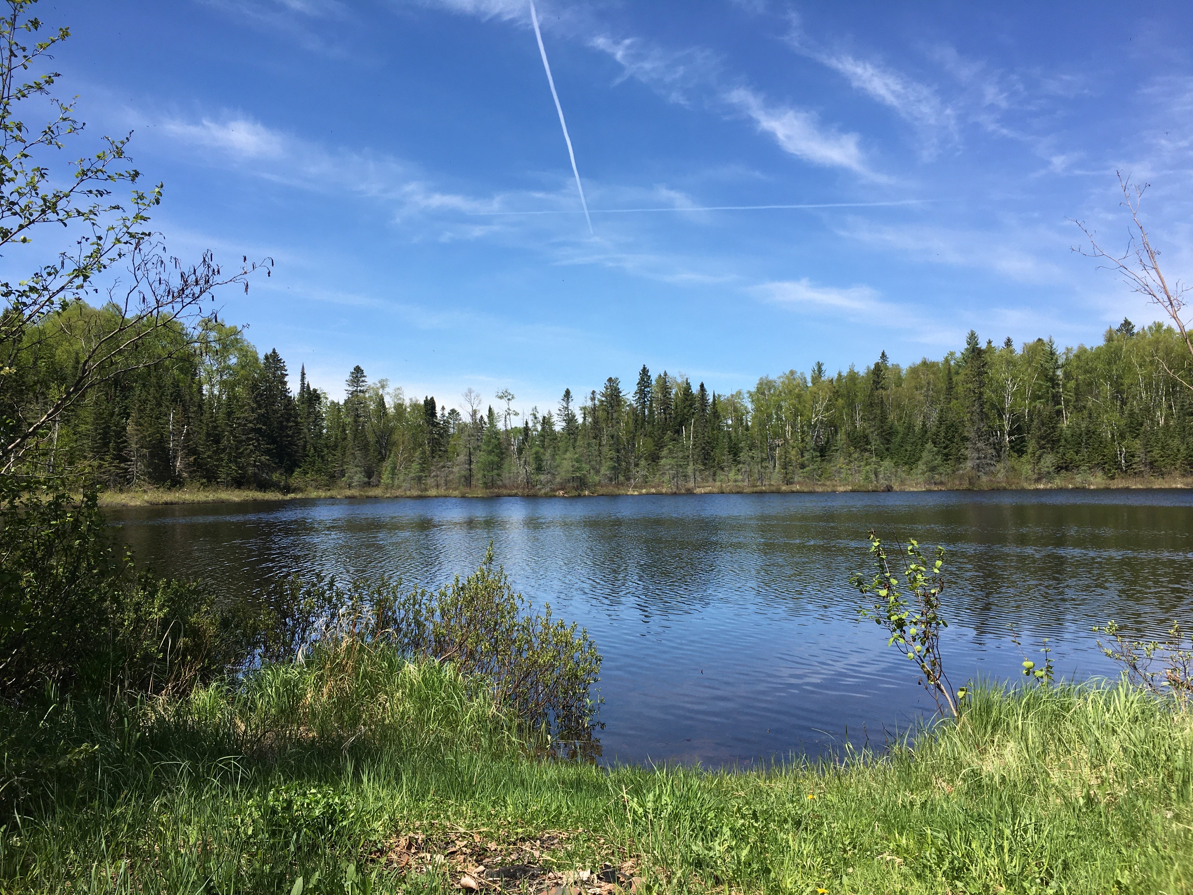 Camper submitted image from Harriet Lake Rustic Campground - 1