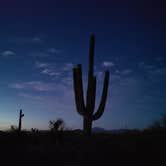 Review photo of Lost Dutchman State Park Campground by Esther , May 30, 2021