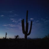 Review photo of Lost Dutchman State Park Campground by Esther , May 30, 2021