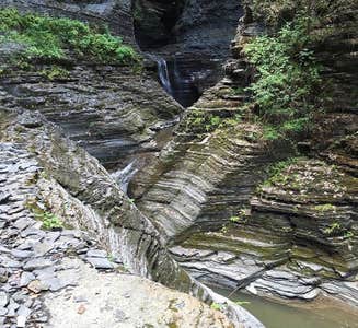 Camper-submitted photo from Watkins Glen State Park Campground