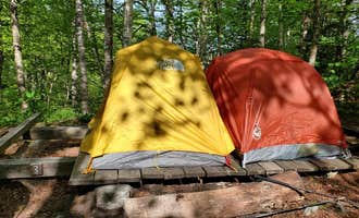 Camping near Little River State Park Campground: Camel's Hump State Park — Camels Hump State Park, Bolton, Vermont