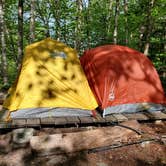 Review photo of Camel's Hump State Park — Camels Hump State Park by Raj T., May 30, 2021