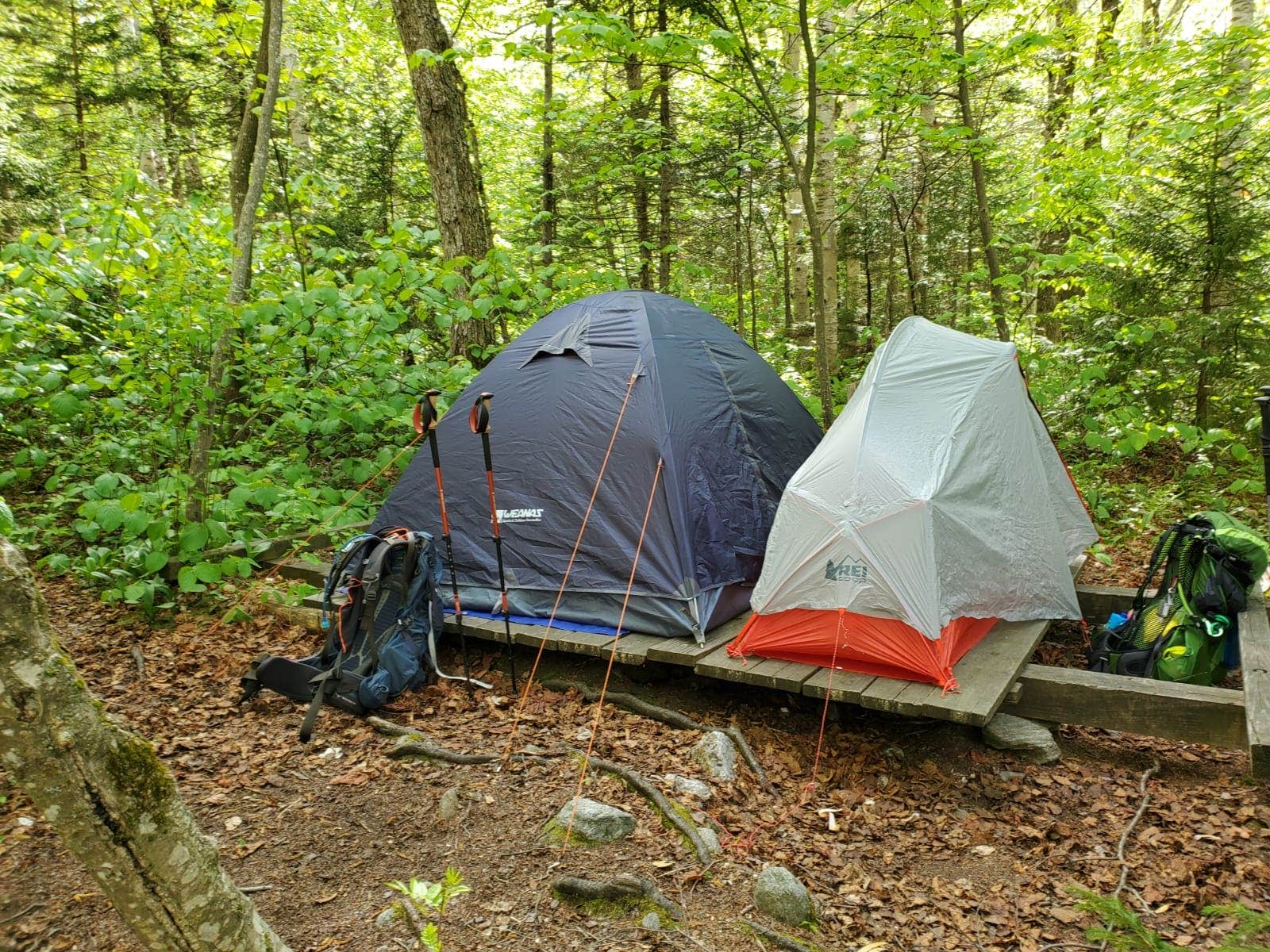Camper-submitted photo at Camel's Hump State Park — Camels Hump State Park near Barre, VT