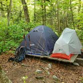 Review photo of Camel's Hump State Park — Camels Hump State Park by Raj T., May 30, 2021