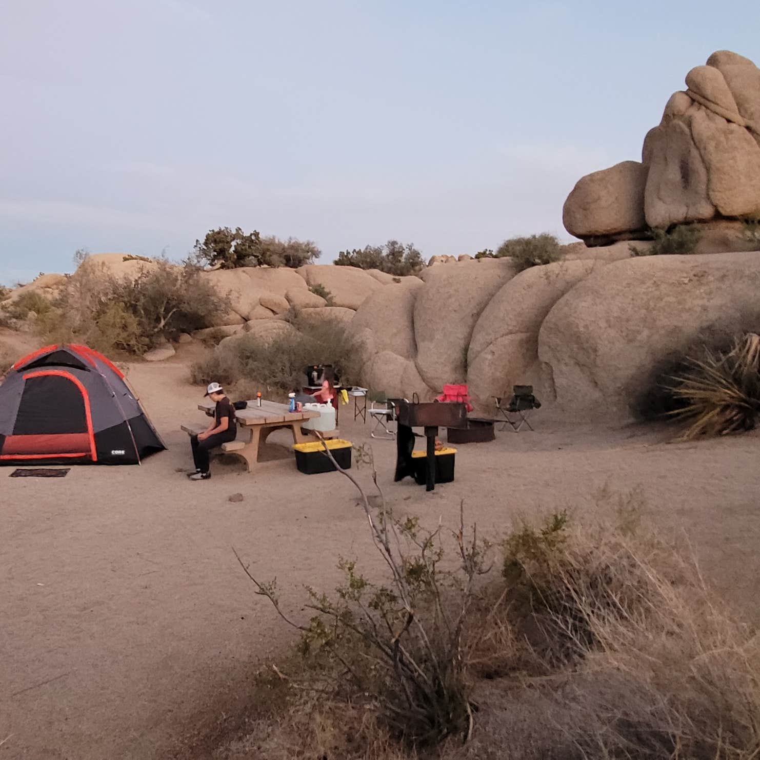 Jumbo Rocks Campground | The Dyrt