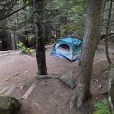 Review photo of Lost Lake Resort And Campground — Mt. Hood National Forest by C. W., May 30, 2021