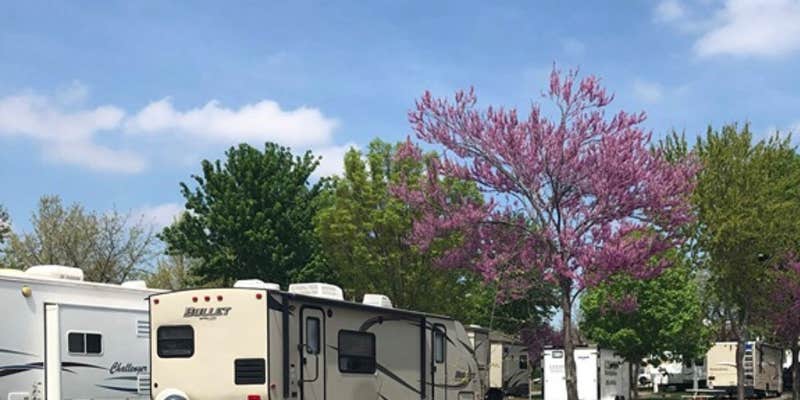 Camper submitted image from Owl's Nest Campground