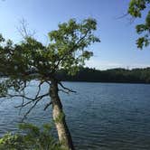 Review photo of Cheoah Point Campground by kristine F., June 6, 2018